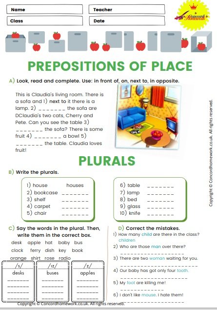 Preposition of place and plurals in English worksheet