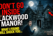 The Website Dossier: The Chief Inspector’s Case File – Case #404: The Blackwood Manor Anomaly