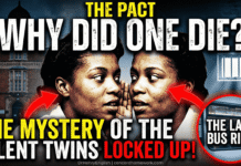 The Silent Twins (June and Jennifer Gibbons)Theme: Psychological Mysteries & True Crime